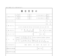출생증명서 (2) 출생증명서 (2)